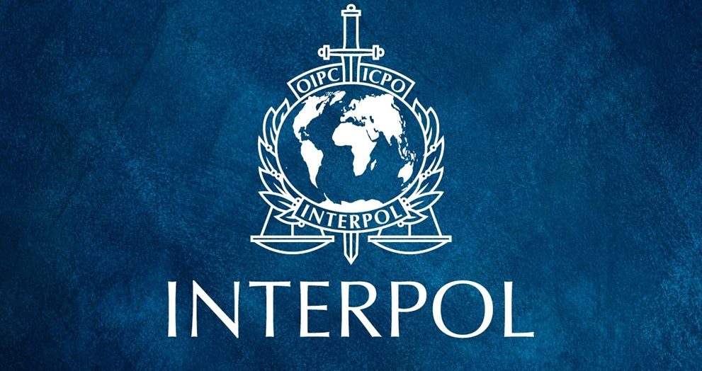 Interpol fraud report