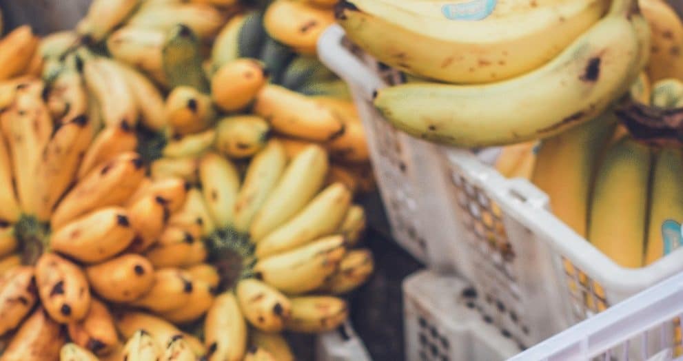 cocaine smuggling bananas