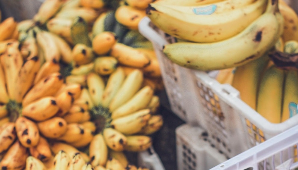 cocaine smuggling bananas
